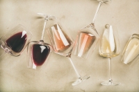 Curious Palate | Wine Color Theory
